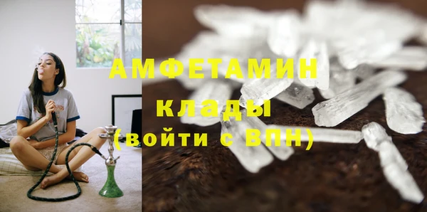 сатива Белокуриха