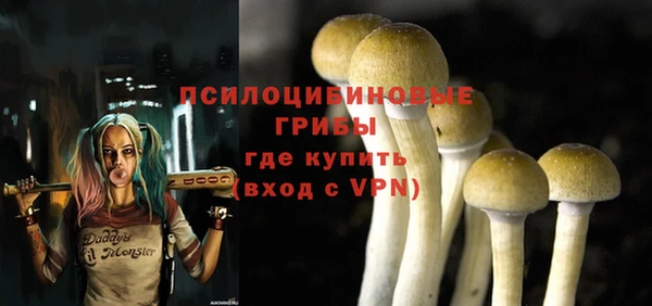 твердый Беломорск
