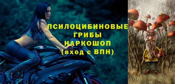 сатива Белокуриха