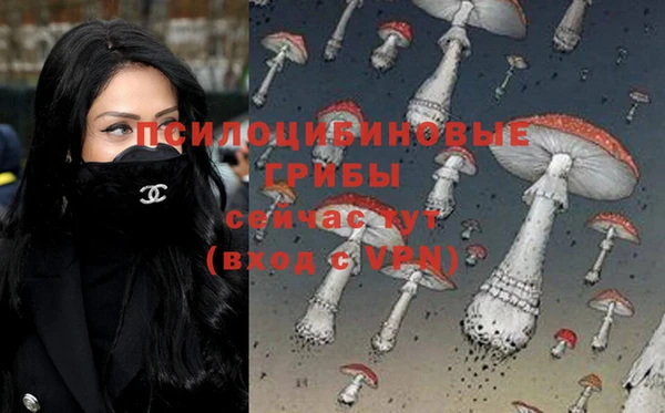 твердый Беломорск