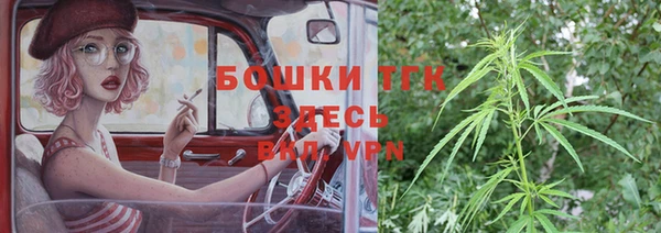 сатива Белокуриха
