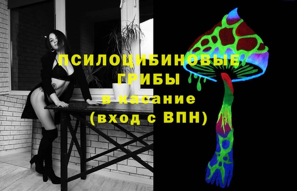сатива Белокуриха