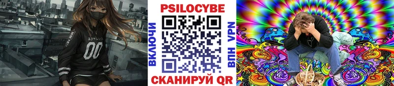 mega вход Мыски Псилоцибиновые грибы Psilocybe